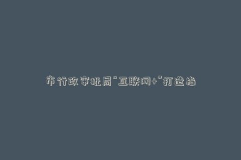 市行政审批局“互联网+”打造指尖上的政务服务