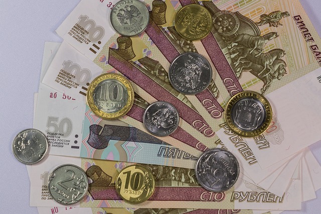俄罗斯卢布在央行利率决定前夕保持稳定