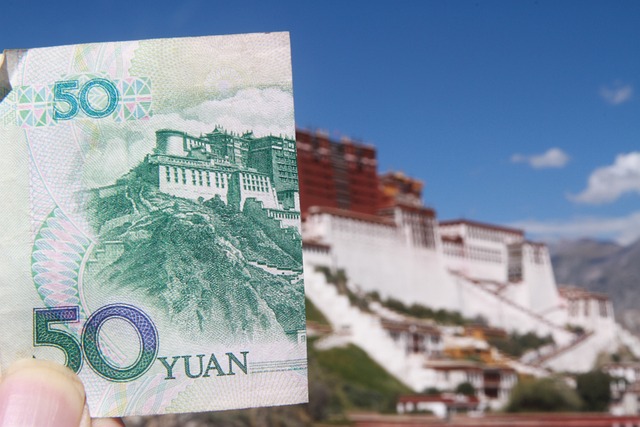 哪些国家可以使用人民币(CNY)支付？