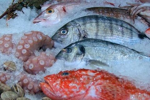 国际关注：福岛核污染水排放，引发全球对日本食品进口限制