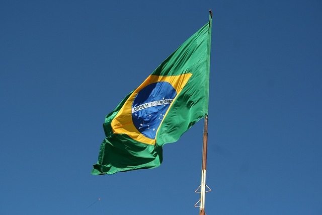 历史性时刻：巴西企业首次用人民币结算对华纸浆出口！