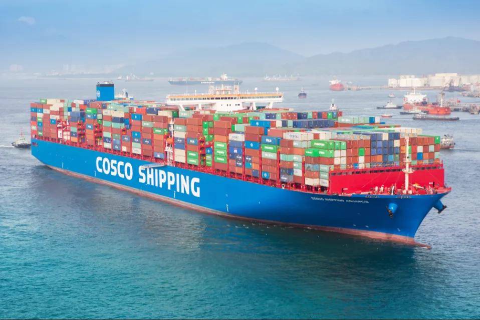 2026年船公司运力榜｜10家巨头谁才是外贸最佳拍档